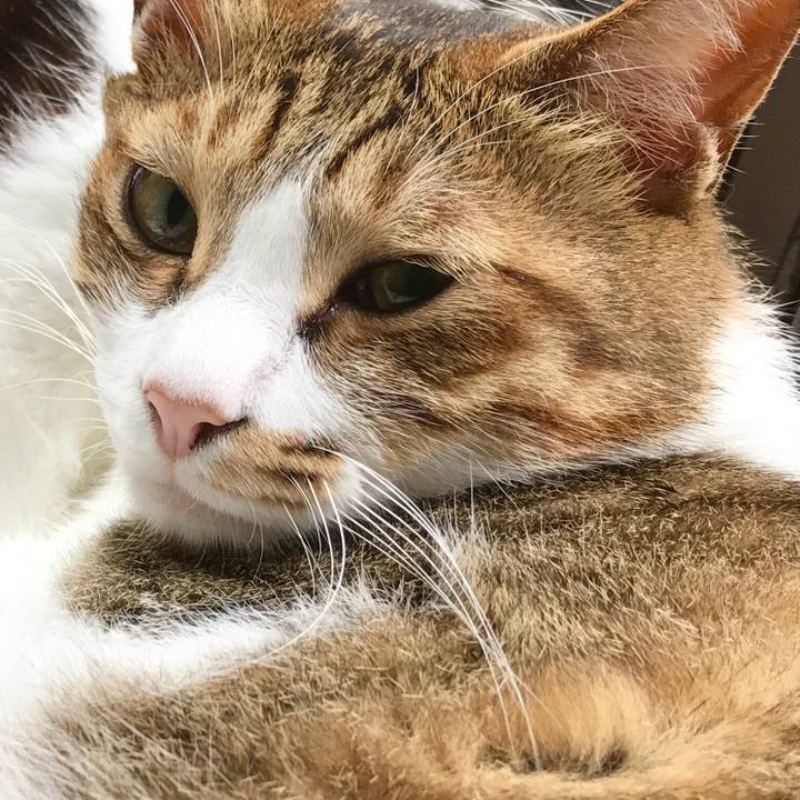 Fb8270be 2184 4852 a62d d7249fd3b43b