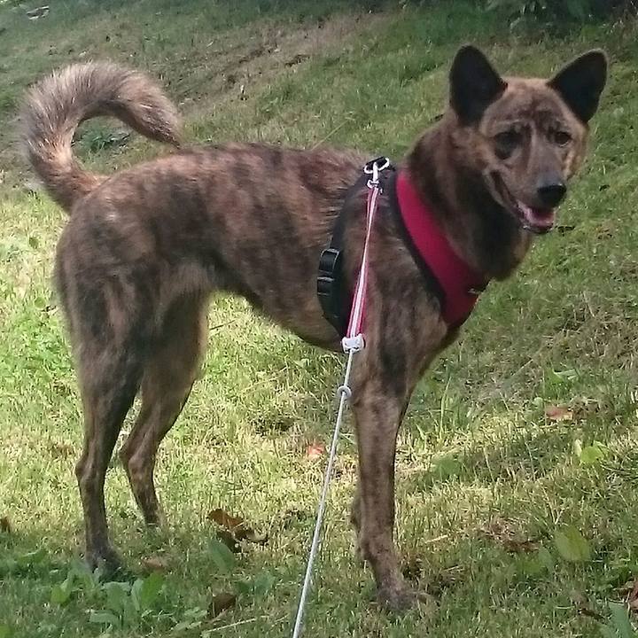 Fb82715a 3744 4ac5 8840 1a03fc1ca487