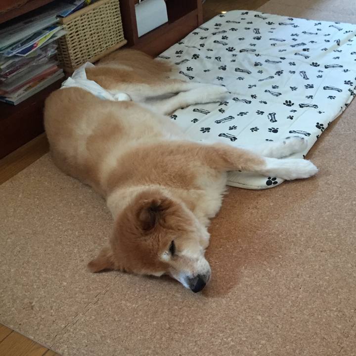 Fb827c2b 7f56 4b59 a5ac adbc5e6b3064