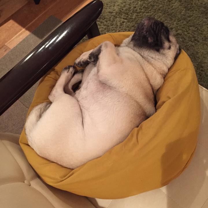 Fb83bb75 521d 40e1 9f8c b2a9013513aa