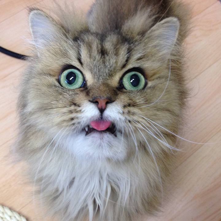 Fb84895c df8d 455c a00c 4a59d4adbe6a