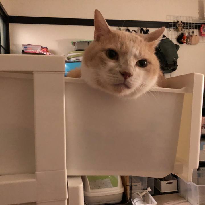 Fb8512ff cf5e 4f9f 8211 ded18ba39b6b