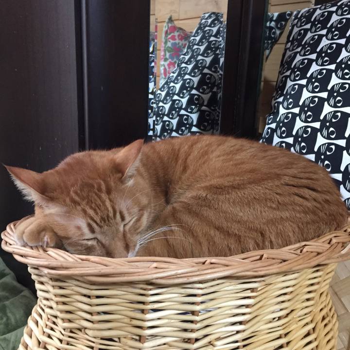 Fb851f28 33d4 40bd 92a9 65d942fa5061