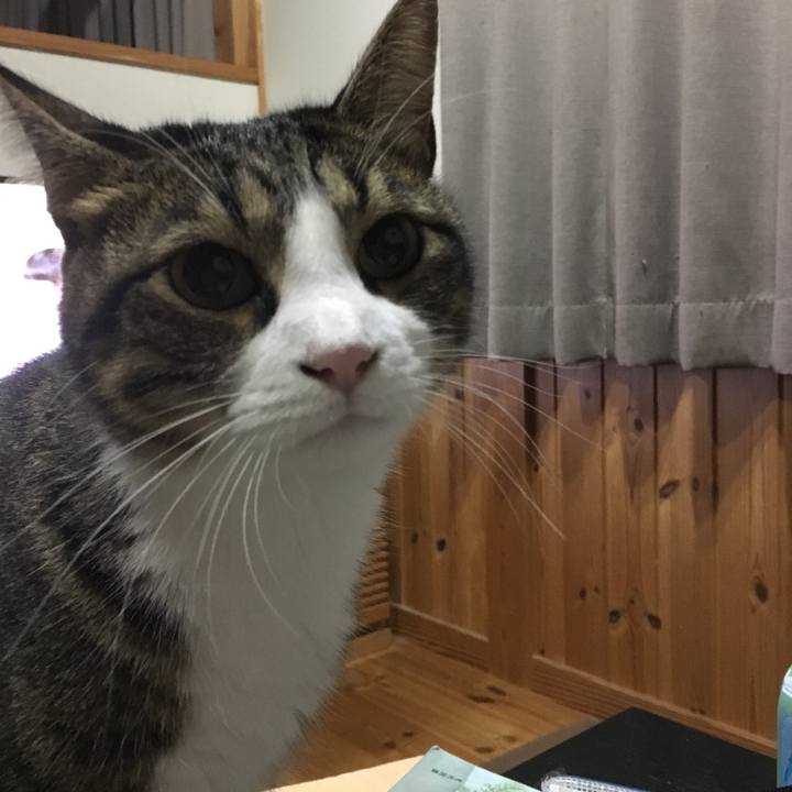 Fb855342 4fde 46f8 ac29 bb4ae65abbca