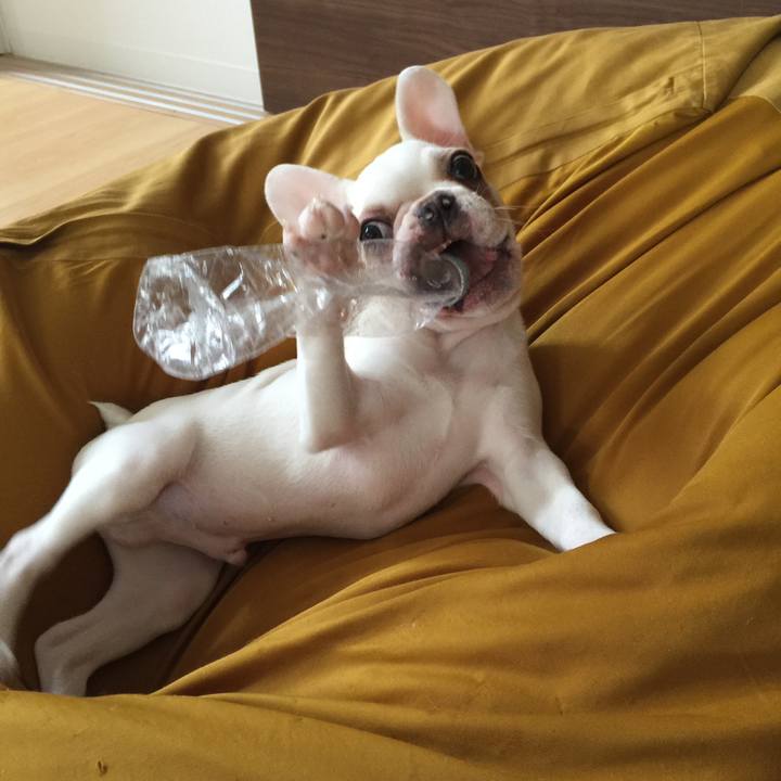 Fb8557aa 392f 4bea 92ca a337afb1e780