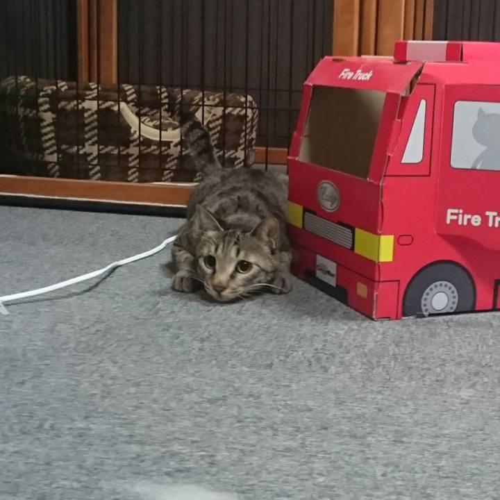 Fb857093 fca1 46dc bb3c 391e9260a8c8