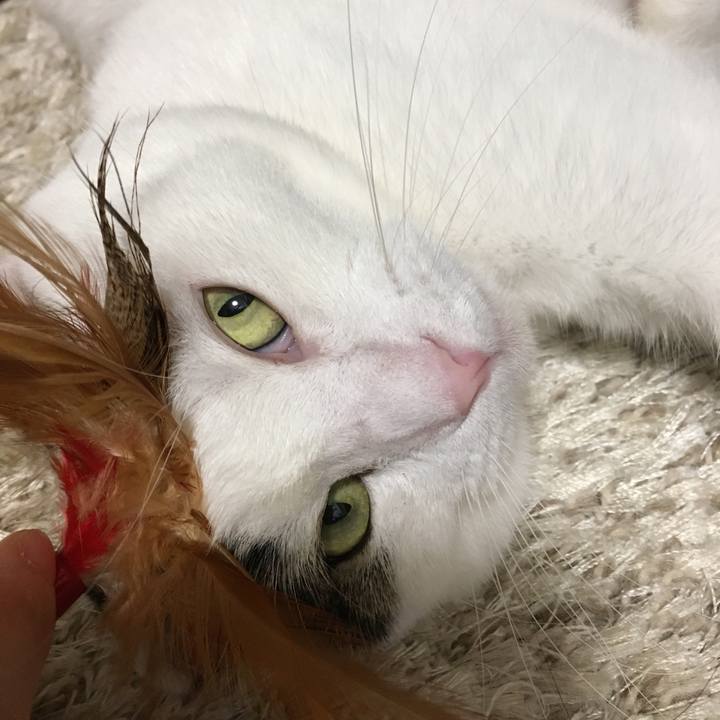 Fb85a83c 82e5 4e74 9d7c 6ed80d78b4aa