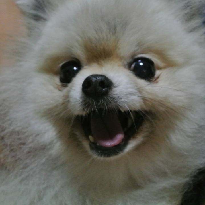 Fb85ce97 61aa 482b b6b8 81b37efec02e