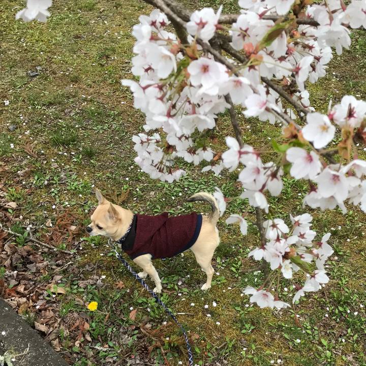 Fb85d8e4 6e7b 4342 b2d2 76f5fffc686a