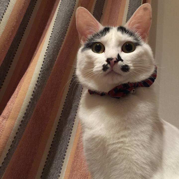 Fb86438a 3c14 4dcf a23e ed85ab03b109