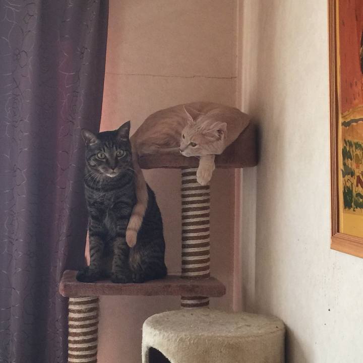 Fb86573b bb5a 4466 b701 001dcc67e257