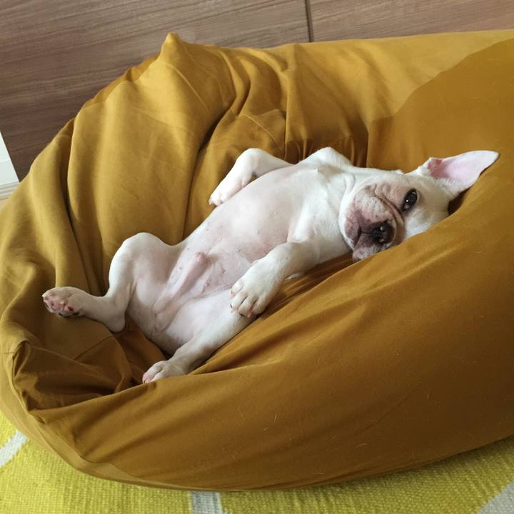 Fb86f383 03ef 477f bca1 33b5f0816982