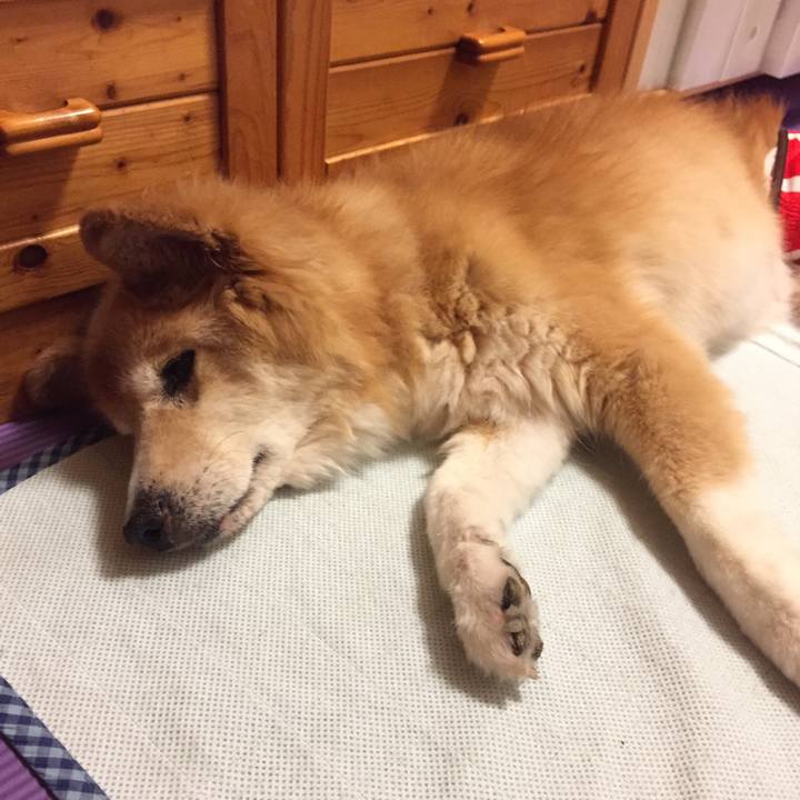 Fb87ace4 a64d 45be 8c92 75d15485d418