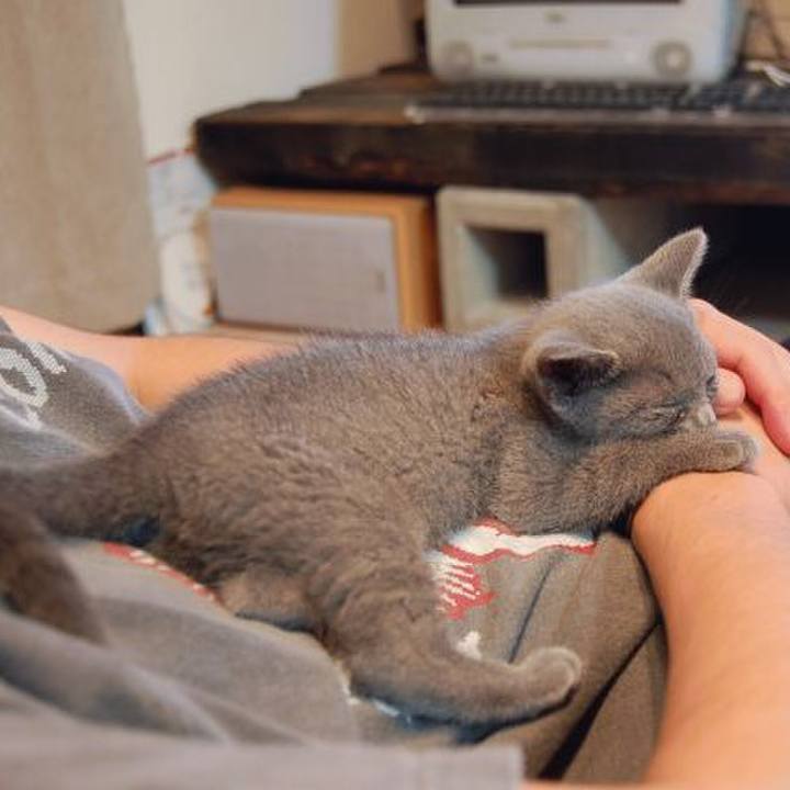 Fb87bff5 d768 497b b067 8705084f0847