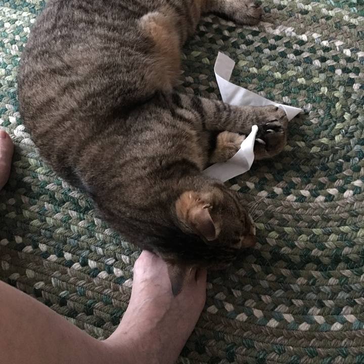 Fb881b40 9ace 4724 a160 7a07658f1c3a