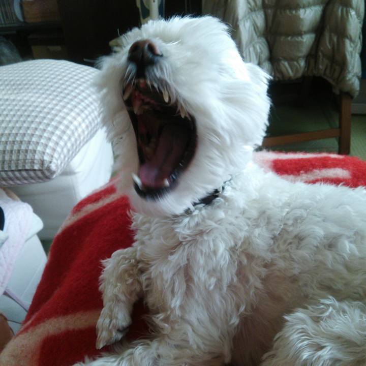 Fb8911e4 33a8 4df3 be27 973c73fe1ff1