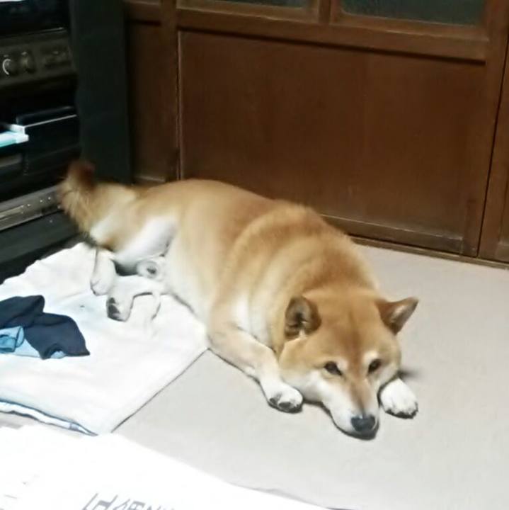 Fb89d0cf 62d7 4bcb b568 9bda01b99af1