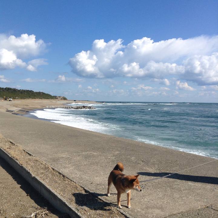 Fb8a0b1d 6288 42e9 b65e 5bb2c0bf2559