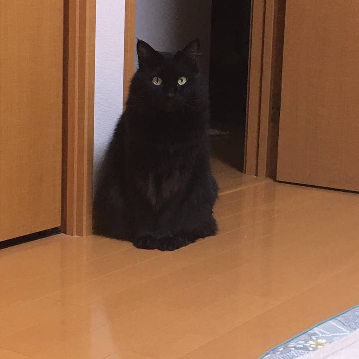 Fb8a1984 9610 4b66 9caa 27265e1754fc