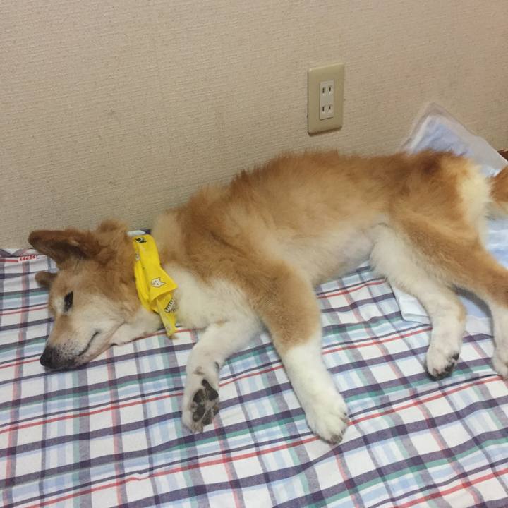 Fb8aa9ff d860 4133 a5e7 b26c15ec5d00