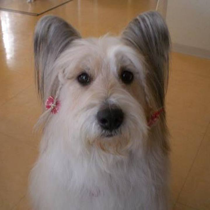 Fb8b173e dff6 4dbf ad7c f2a5ee208c16