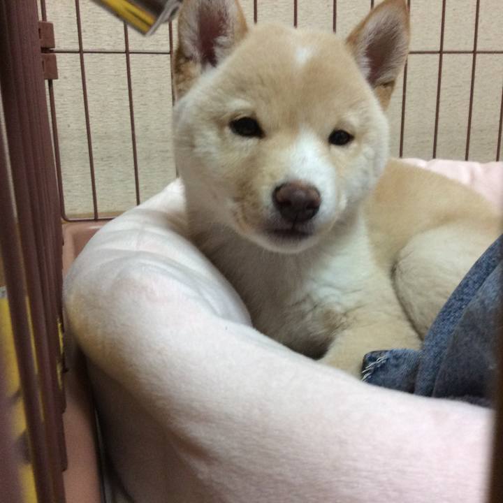 Fb8c7cd3 45d3 4c33 bc30 2b45544d0a30