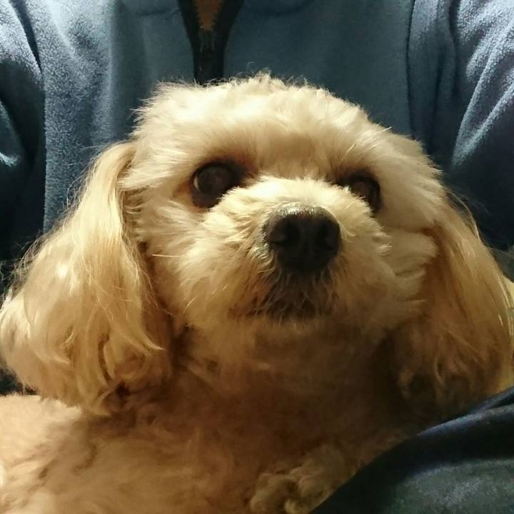 Fb8d41f3 c4f7 4c0d b929 b0a7b41f9958