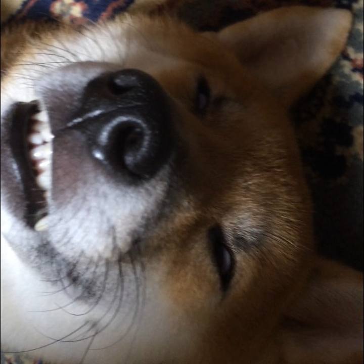 Fb8d5a4f 3a34 49e3 abe7 49cc2d868f82