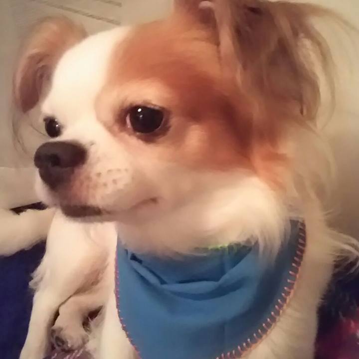 Fb8ddda8 87b6 4fdb a17a cbd4d6117d0a