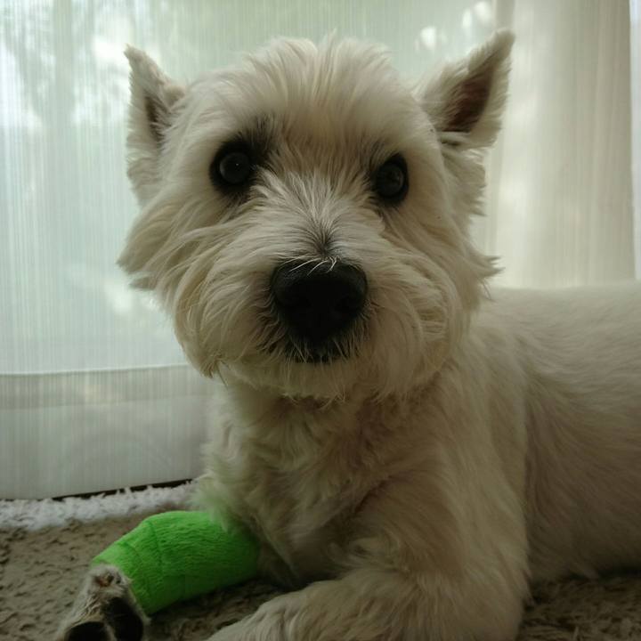 Fb8e308b 97c6 481d 8c98 437510e2991b