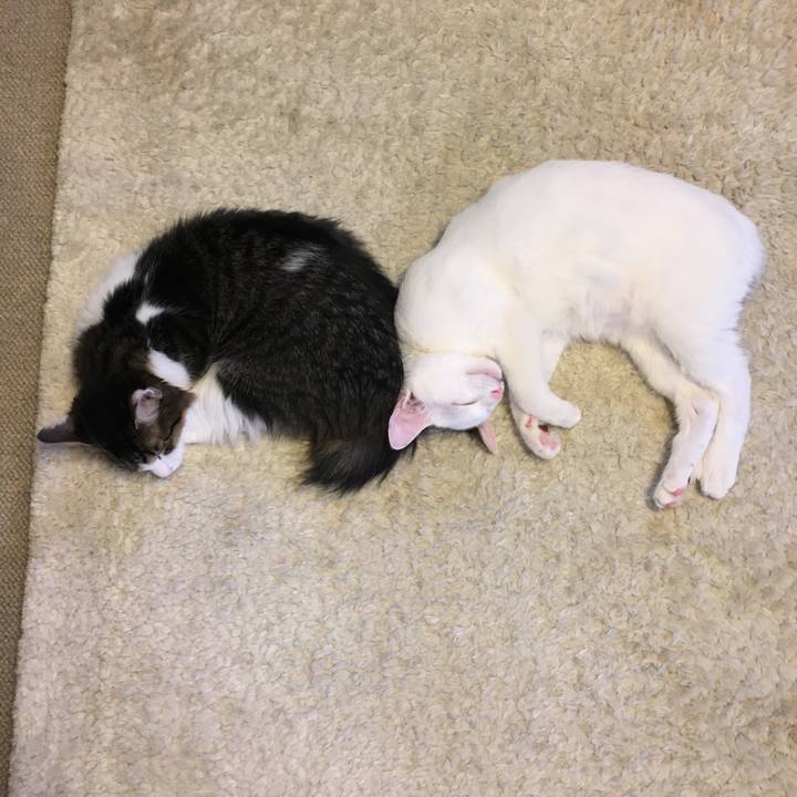 Fb8ebe6d 5241 483e 95b8 8727b3011cdf