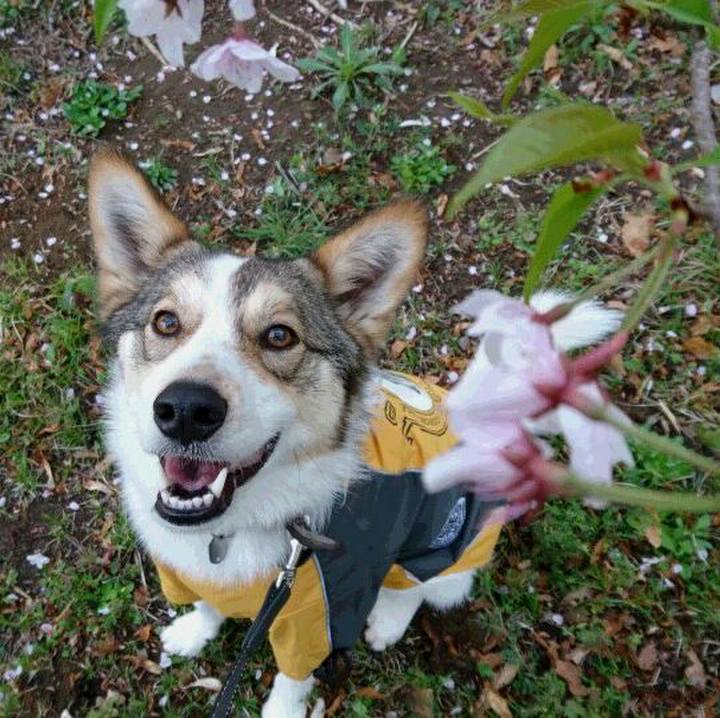 Fb8fc8dc 75c5 4174 b305 cf1e888bece9