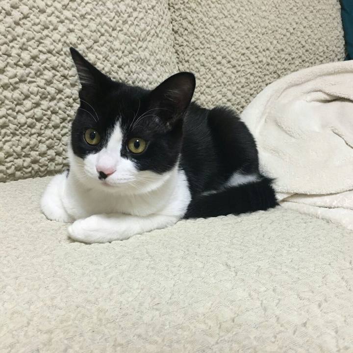 Fb8ffdd8 2c17 42a8 a560 b2742591108a