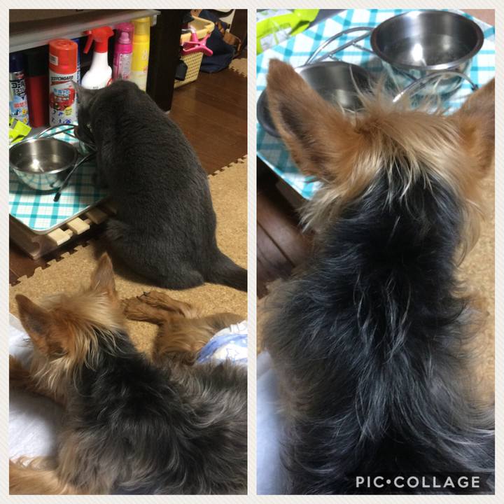 Fb904bc6 e000 46e7 86f2 da079da118ed