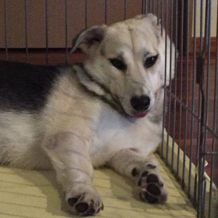 Fb909239 5046 46bc bbe1 76957889c88c