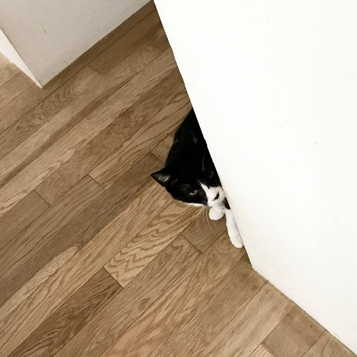 Fb90e54d 5b92 434e a11a 5a9d9f13e016