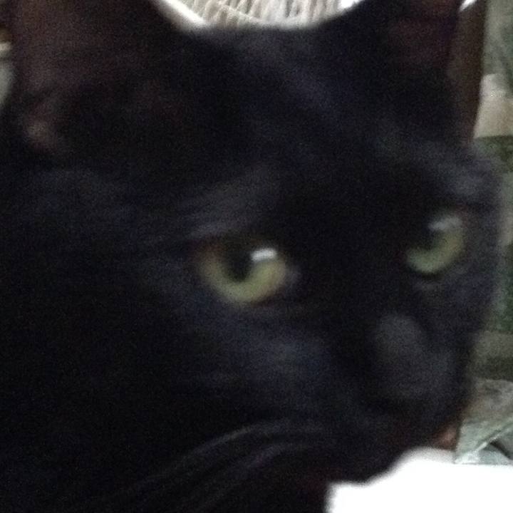 Fb92a7a9 ee17 4aea b0d9 3f742fabeba0