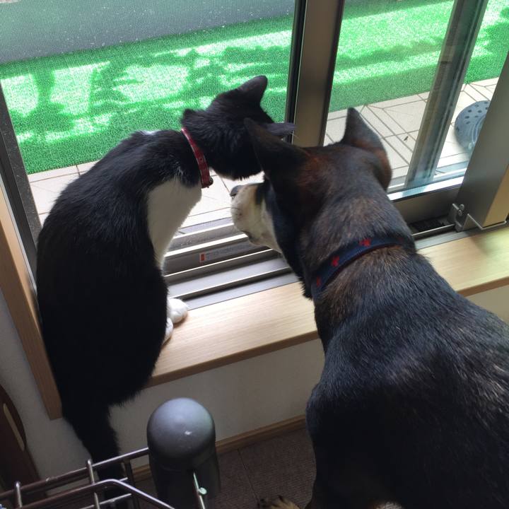 Fb92f98e 1cfb 478d 80b6 b5f9002850ea