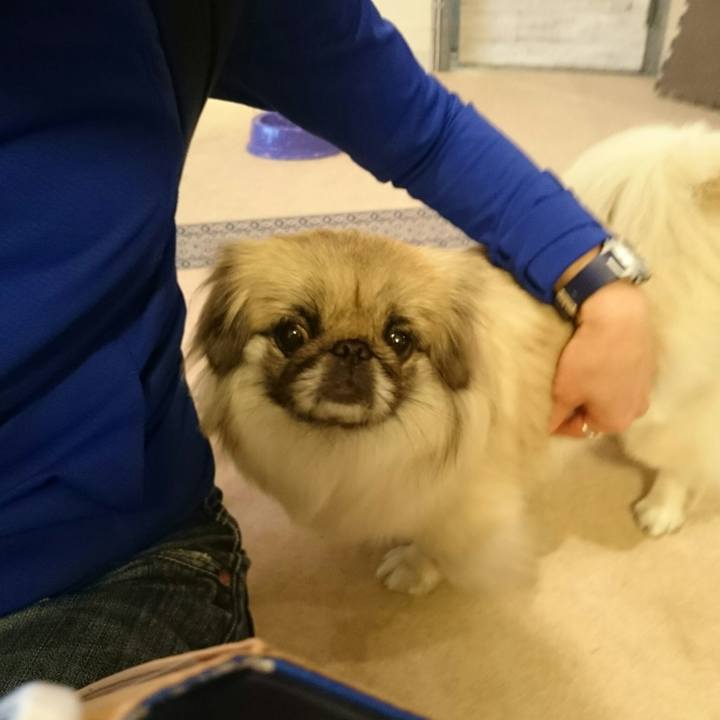 Fb93261f 20bb 41e8 b1f6 c370081135f3