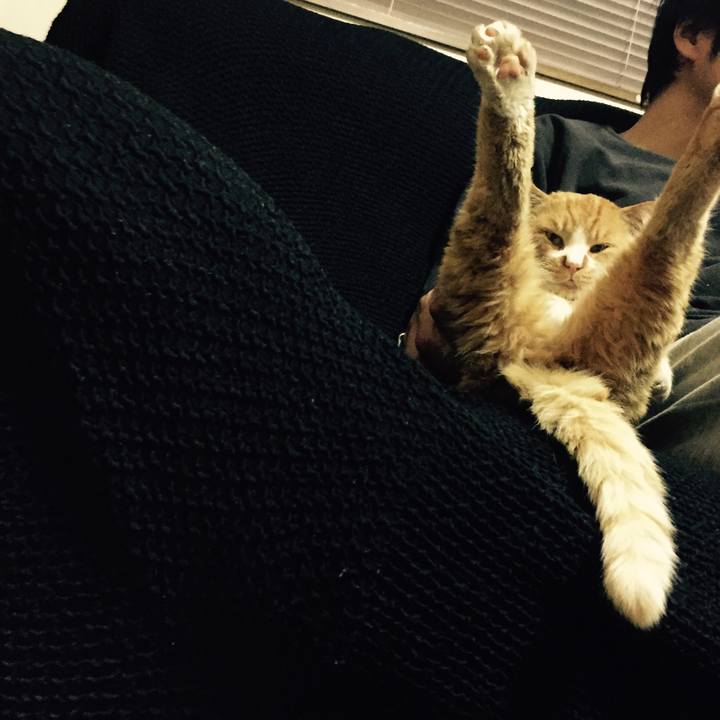 Fb932731 c3d7 46c9 b918 1429d4733b82