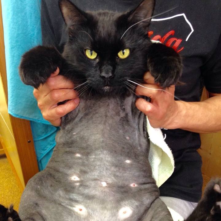 Fb93322e 87a3 456a b99a 8f7bf6d392f0