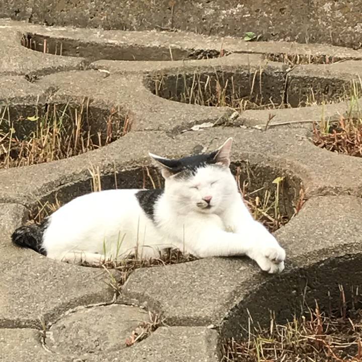 Fb93973d 7eae 4fe5 ba2a 90969eb63b70