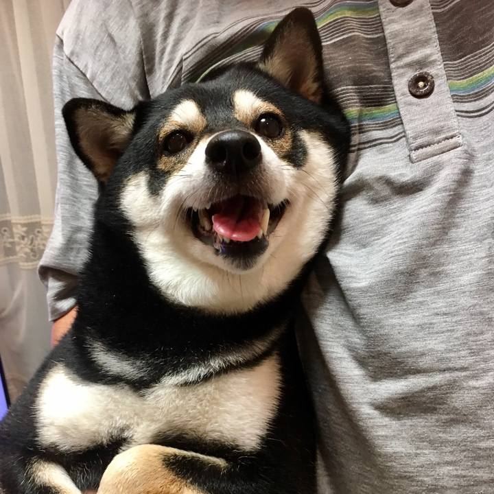 Fb94e030 1ac6 4097 ad31 ea3e426fb735