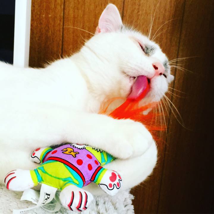 Fb9556fa ccbf 4b3c 9deb 34f34fdf7250