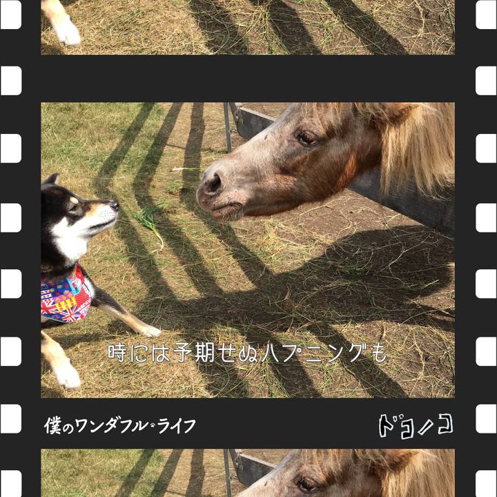 Fb95a176 2b60 486e aecf 267f94e02622