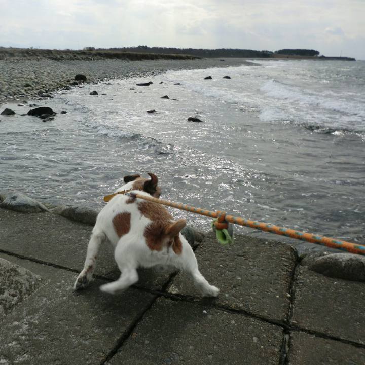 Fb961a18 e9e2 4b91 8267 2623b46ae4d0