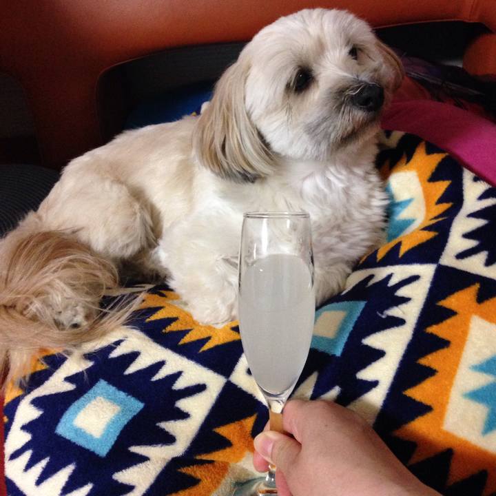 Fb961a99 1c33 4aec a3ee 7cadc138c10f