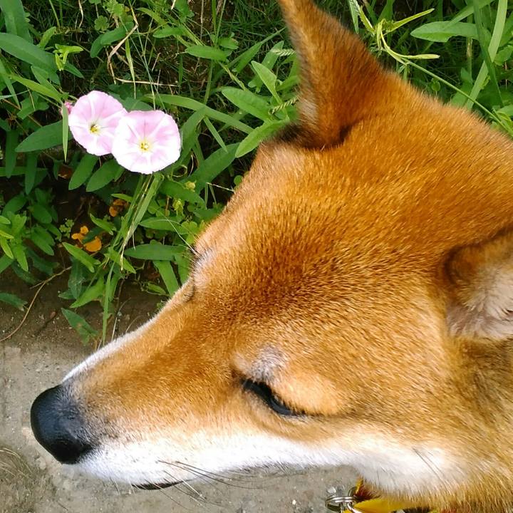 Fb961c1b 1239 47ee 8cd2 57112c06e981