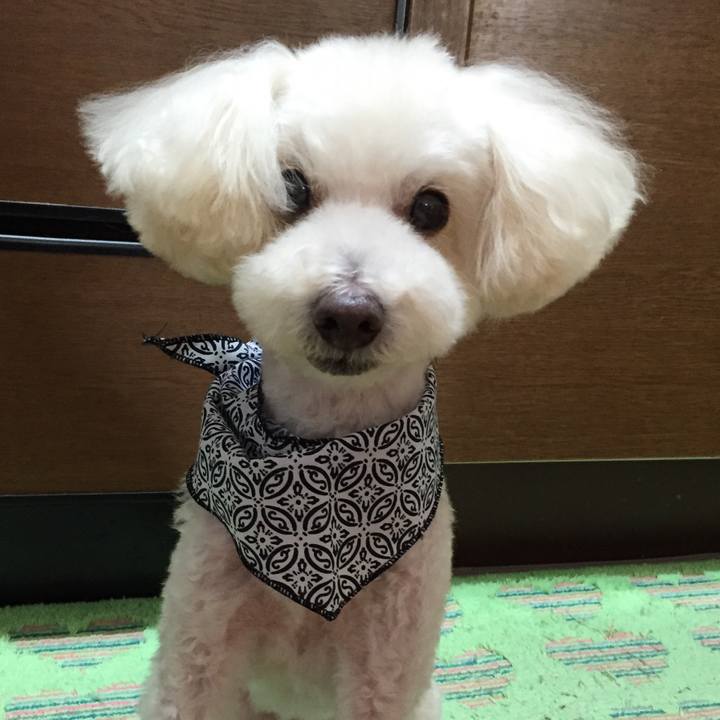 Fb966cbc 1f78 4fc9 96d9 97a883de5a67