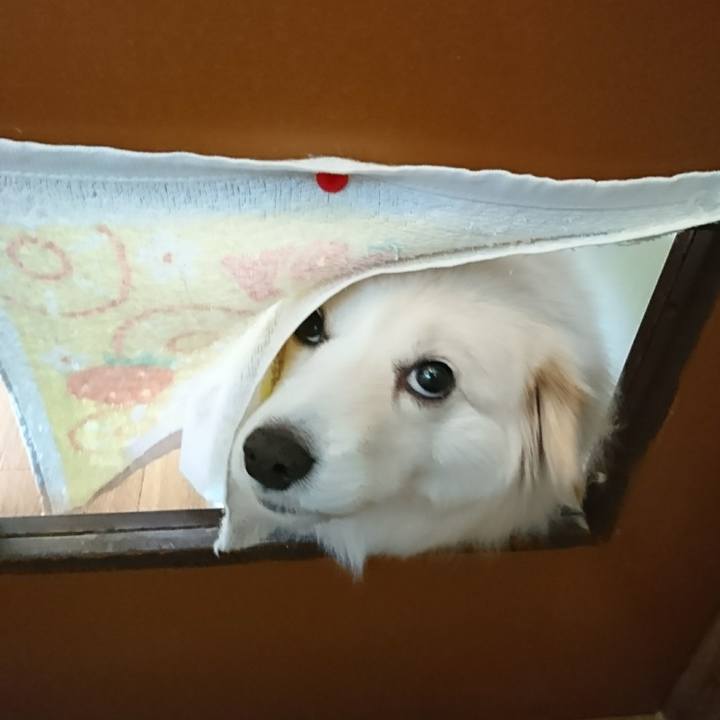 Fb973af2 5a25 4977 8457 14b09c18a724